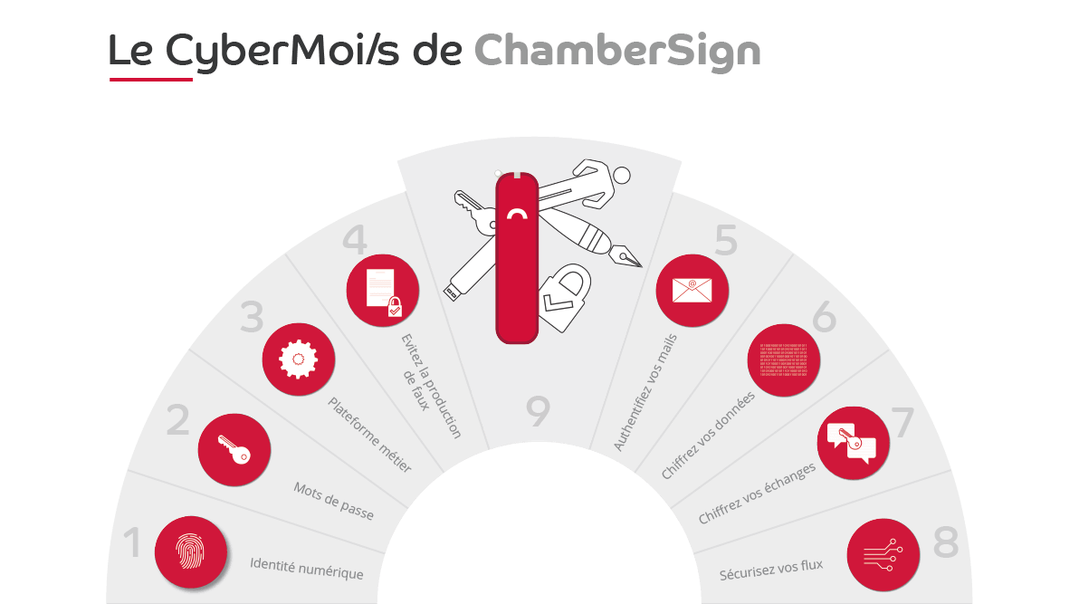 Infographie Cybermois