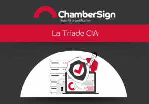 Triade CIA : protection des données