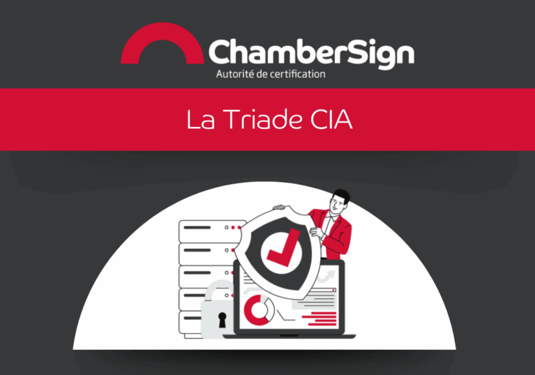 Triade CIA : protection des données