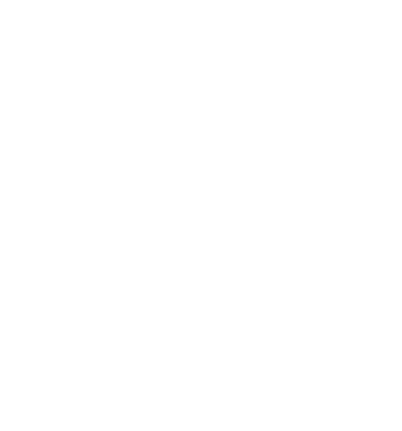 Solution française