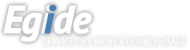 Logo EGIDE